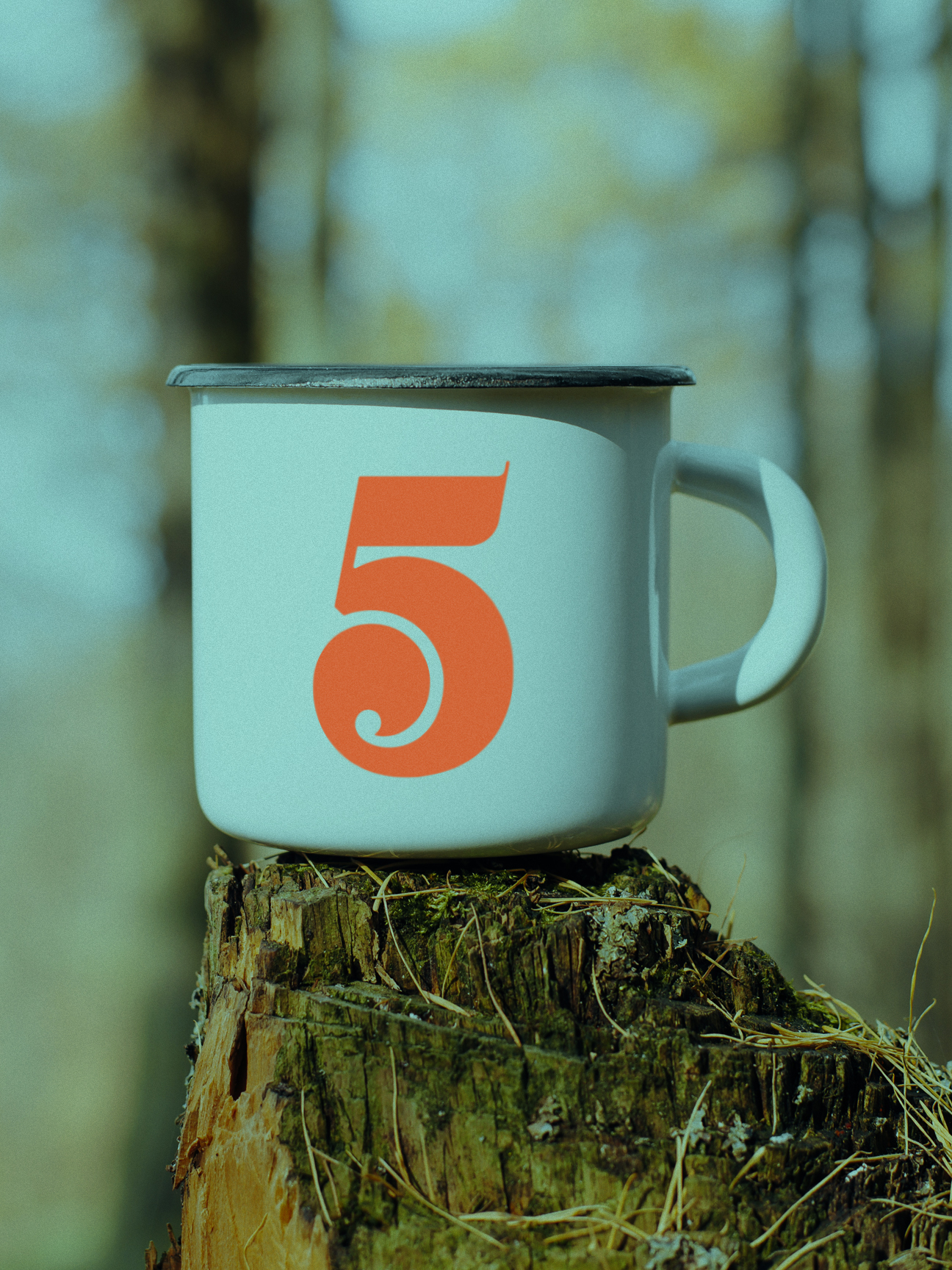 5 Tides camp mug sitting on rotted tree stump