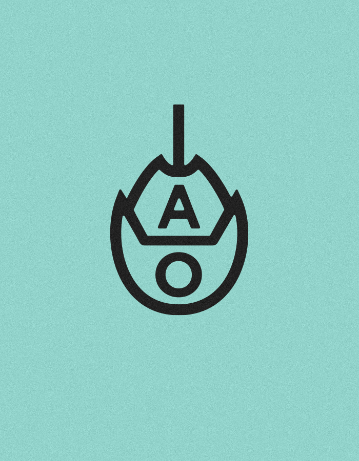 Assateague Outfitters horseshoe crab logo